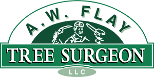 Tree Surgeon, LLC